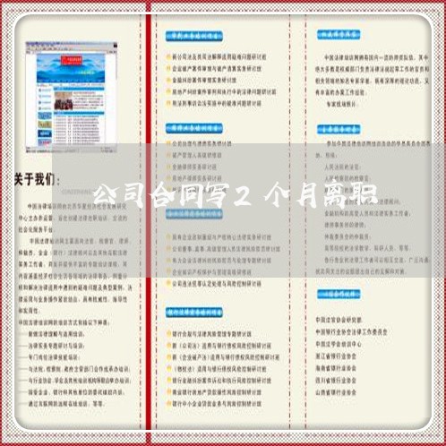 公司合同写2个月离职/2023041571947