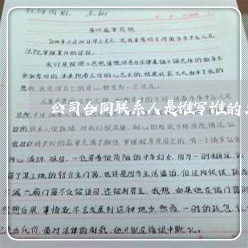 公司合同联系人是谁写谁的名字/2023061978402