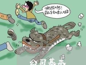 公司基本