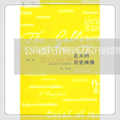 公司委托律师到法院开庭需要什么材料