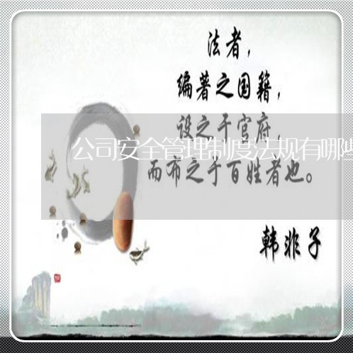 公司安全管理制度法规有哪些内容