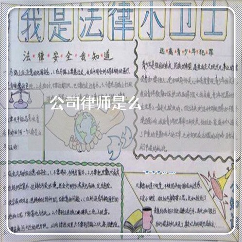 公司律师是么 公司律师是么