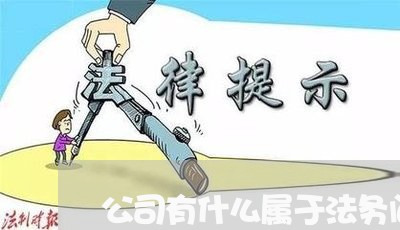 公司有什么属于法务问题 公司有什么属于法务问题
