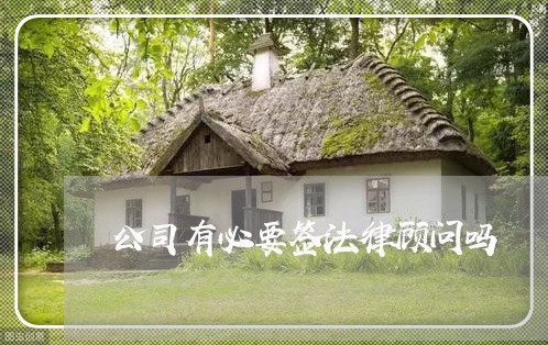 公司有必要签法律顾问吗/2023061905159
