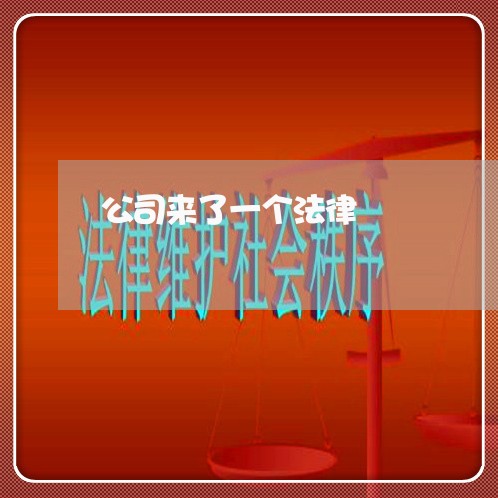 公司来了一个法律