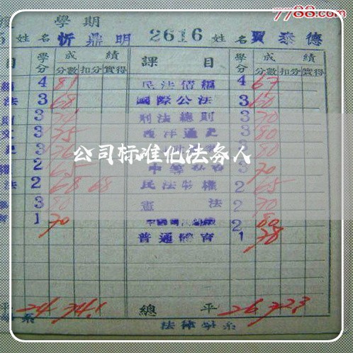 公司标准化法务人 公司标准化法务人