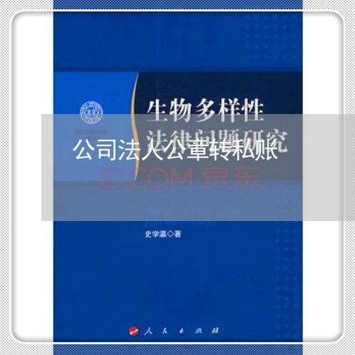 公司法人公章转私账 公司法人公章转私账
