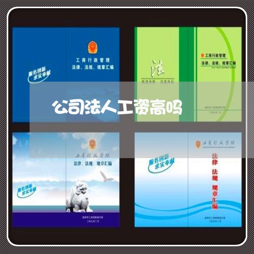 公司法人工资高吗