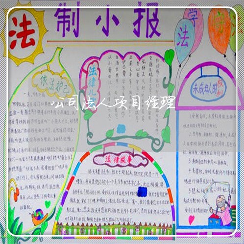 公司法人项目经理