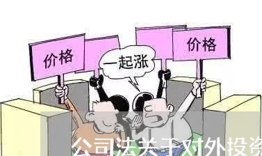 公司法关于对外投资