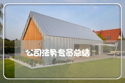 公司法务专员总结 公司法务专员总结