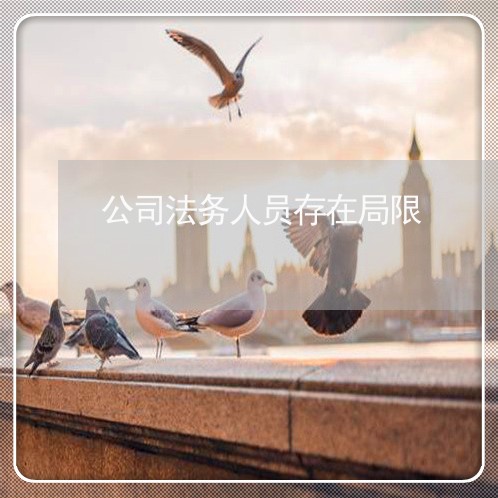 公司法务人员存在局限 公司法务人员存在局限