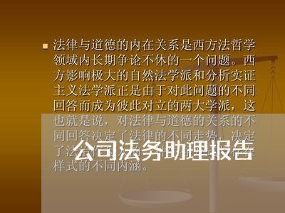 公司法务助理报告 公司法务助理报告