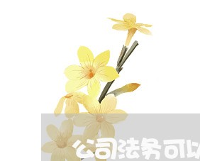 公司法务可以打官司
