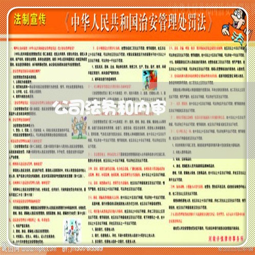 公司法务和内审 公司法务和内审