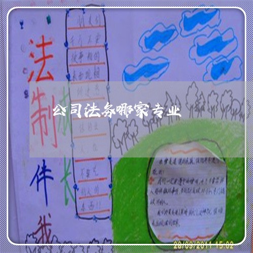 公司法务哪家专业 公司法务哪家专业