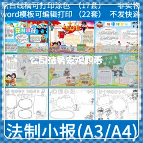 公司法务宏观职责 公司法务宏观职责