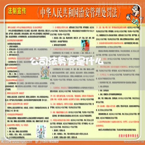 公司法务官是什么 公司法务官是什么