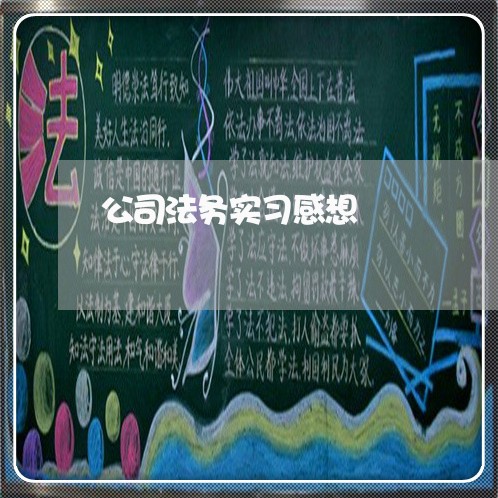 公司法务实习感想 公司法务实习感想