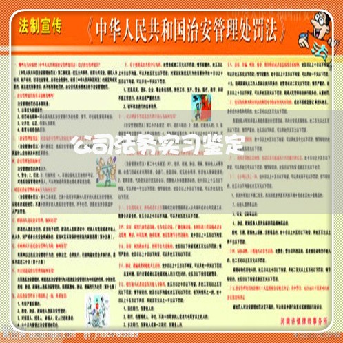 公司法务实习鉴定 公司法务实习鉴定