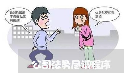 公司法务尽调程序 公司法务尽调程序