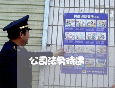 公司法务待遇 公司法务待遇