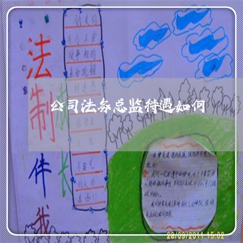 公司法务总监待遇如何 公司法务总监待遇如何