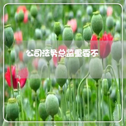 公司法务总监重要不 公司法务总监重要不