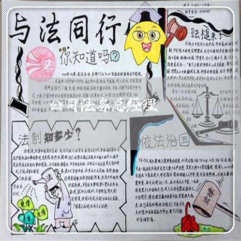公司法务总经理 公司法务总经理