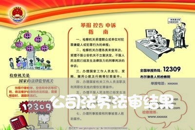 公司法务法审结果 公司法务法审结果