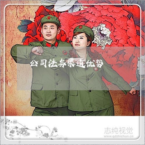 公司法务渠道优势 公司法务渠道优势