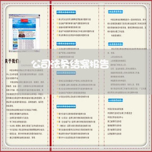公司法务结案报告 公司法务结案报告
