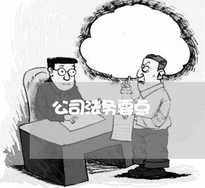 公司法务要点 公司法务要点