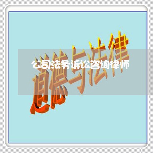 公司法务诉讼咨询律师 公司法务诉讼咨询律师