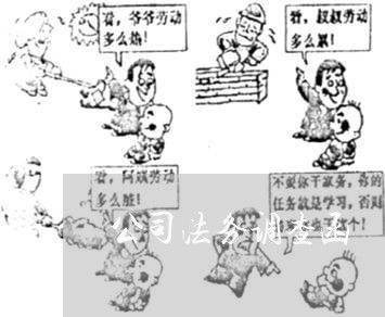 公司法务调查函 公司法务调查函