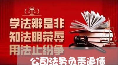 公司法务负责追债 公司法务负责追债