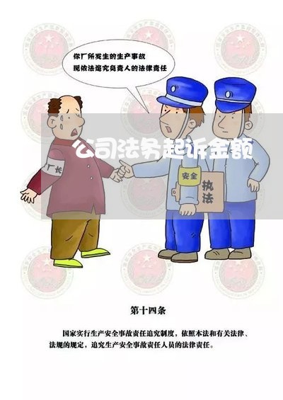 公司法务起诉金额 公司法务起诉金额