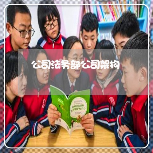 公司法务部公司架构