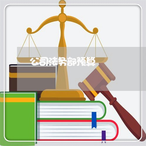 公司法务部预算 公司法务部预算