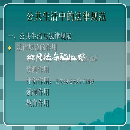 公司法务配比律 公司法务配比律