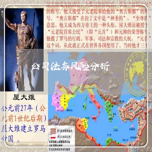 公司法务风险分析 公司法务风险分析