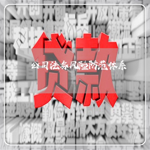 公司法务风险防范体系 公司法务风险防范体系