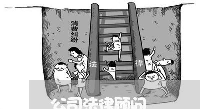 公司法律顾问/2023061639469 公司法律顾问/2023061639469