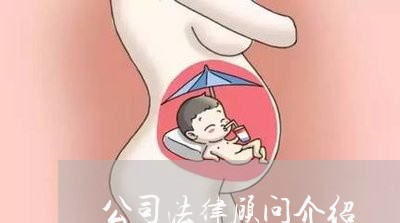 公司法律顾问介绍 公司法律顾问介绍