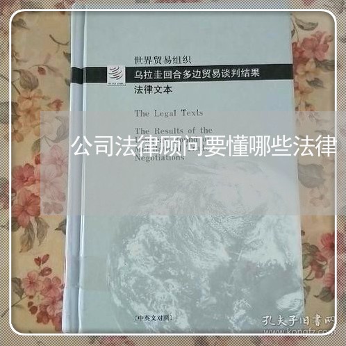 公司法律顾问要懂哪些法律/2023061959371 公司法律顾问要懂哪些法律/2023061959371