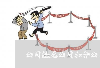 公司法总公司和分公司