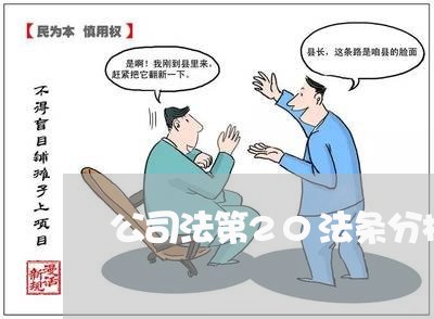 公司法第20法条分析原理 公司法第20法条分析原理