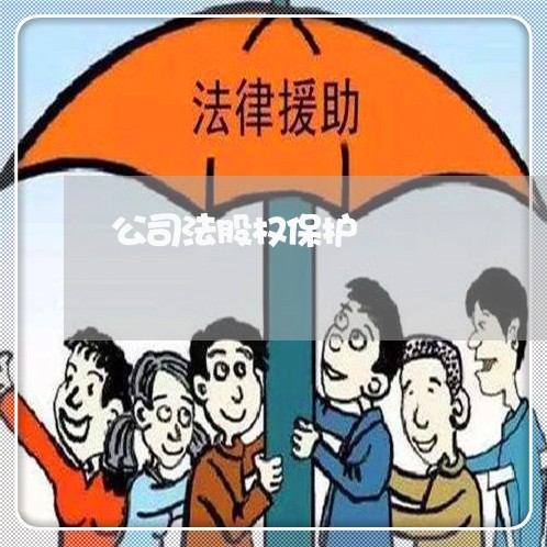 公司法股权保护 公司法股权保护