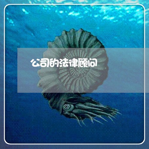 公司的法律顾问/2023061692827 公司的法律顾问/2023061692827