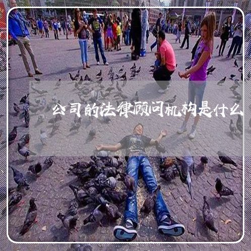 公司的法律顾问机构是什么/2023061847251 公司的法律顾问机构是什么/2023061847251